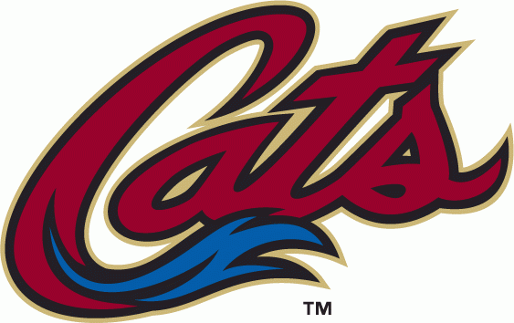 sacramento river cats 2000-pres wordmark logo iron on transfers for T-shirts